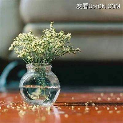 陨落的天使手游下载